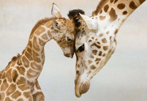10 Fotos que demuestran el amor de los padres