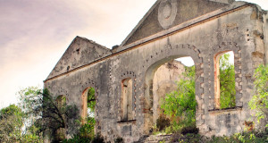 mineral de pozos