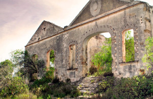 mineral de pozos