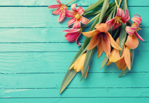 Ponte guapo y regala flores con Flower Boxes