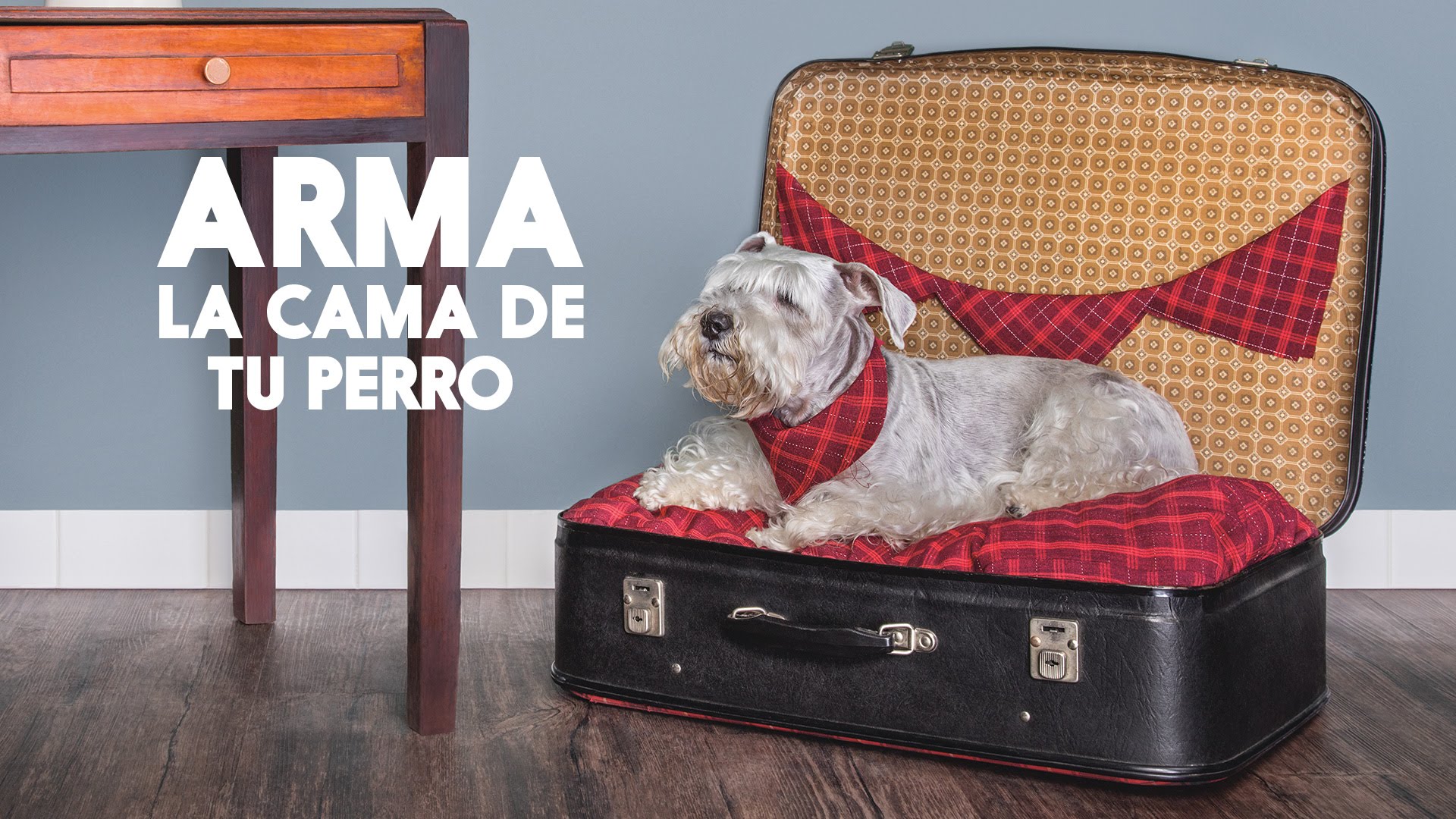 Video: Cómo hacer una cama para tu perro