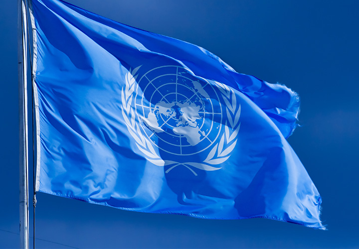 bandera de la onu