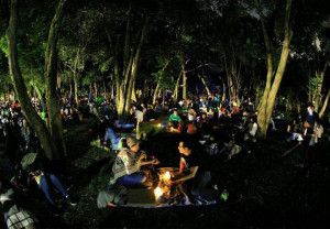 Plan para el fin de semana