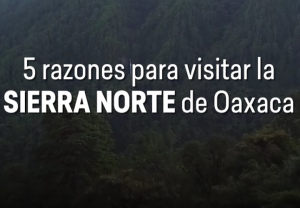 5 razones para visitar la Sierra Norte de Oaxaca