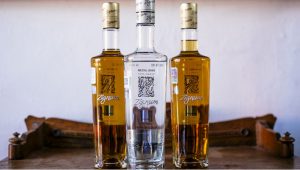 Mezcal para papá