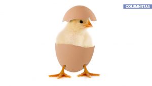 ¿Qué fue primero, el huevo o la gallina?