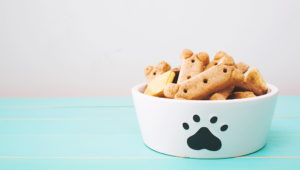 #DíaDelPerro: consiéntelo preparando estas recetas