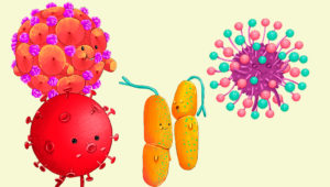 Diferencias entre virus y bacterias